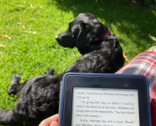 Dog and Kindle